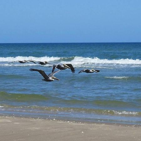 Barefoot Bungalow - Pet Friendly- 2 Bdrm Townhome Corpus Christi Exteriör bild