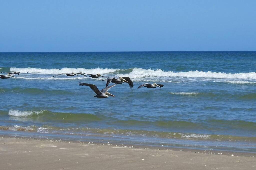 Barefoot Bungalow - Pet Friendly- 2 Bdrm Townhome Corpus Christi Exteriör bild